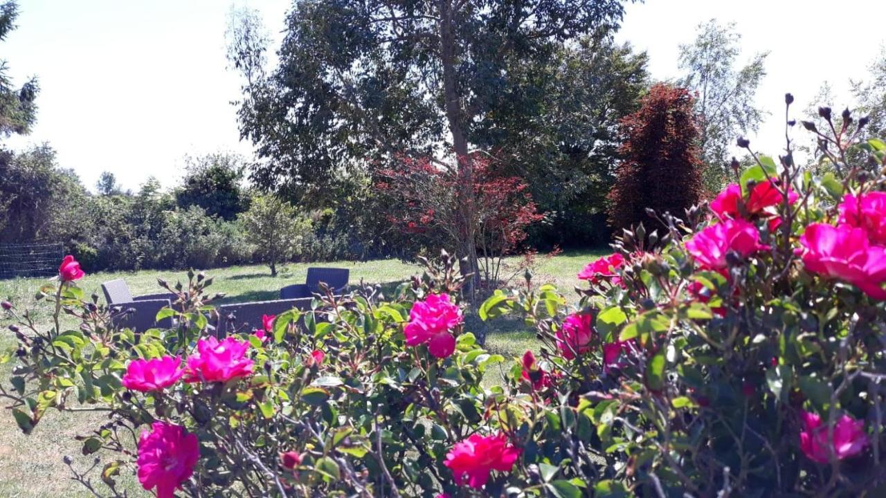 Auberge Aux Marais Montmartin-en-Graignes Экстерьер фото
